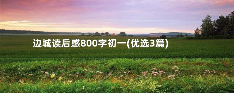 边城读后感800字初一(优选3篇)