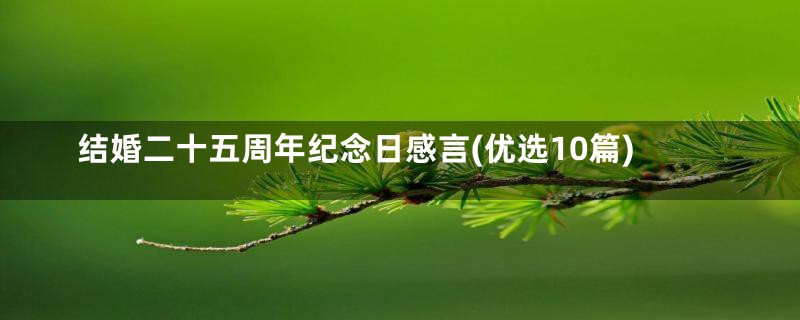 结婚二十五周年纪念日感言(优选10篇)