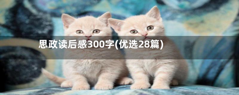 思政读后感300字(优选28篇)