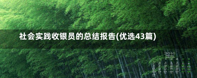 社会实践收银员的总结报告(优选43篇)