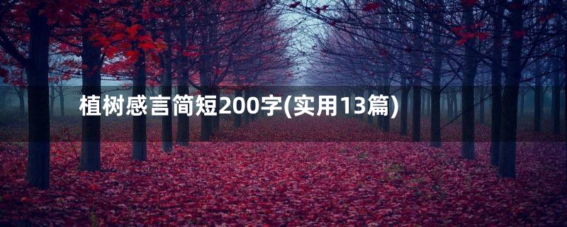 植树感言简短200字(实用13篇)