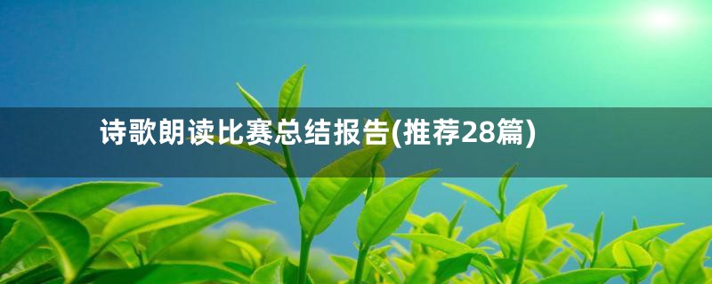 诗歌朗读比赛总结报告(推荐28篇)