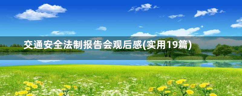 交通安全法制报告会观后感(实用19篇)