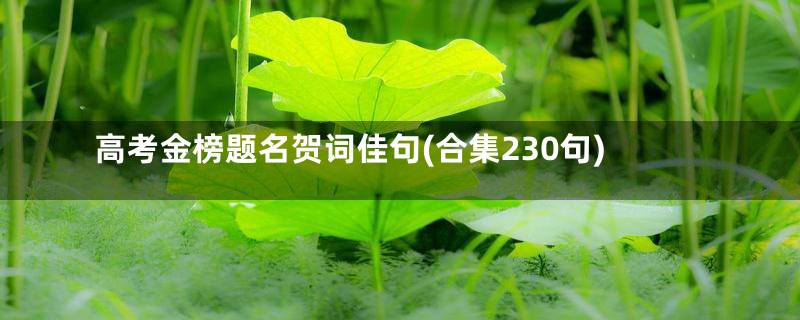 高考金榜题名贺词佳句(合集230句)