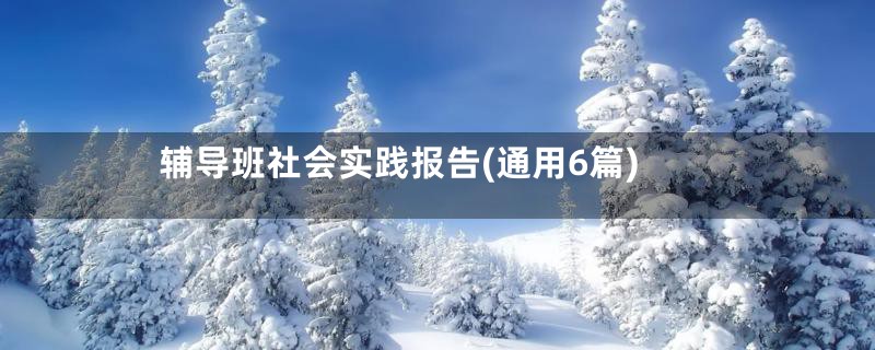 辅导班社会实践报告(通用6篇)