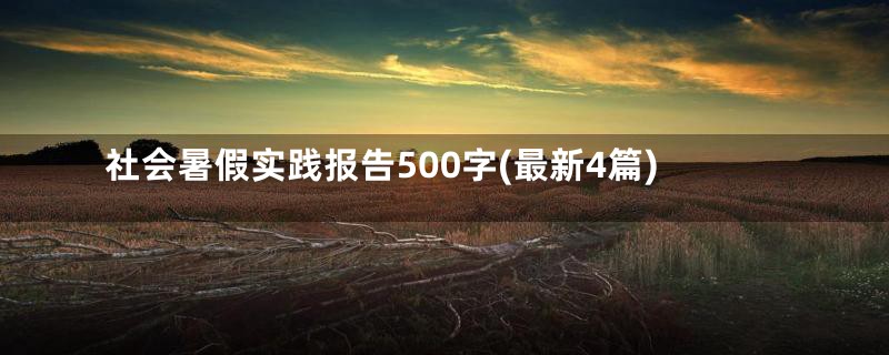 社会暑假实践报告500字(最新4篇)