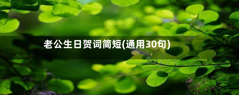 老公生日贺词简短(通用30句)