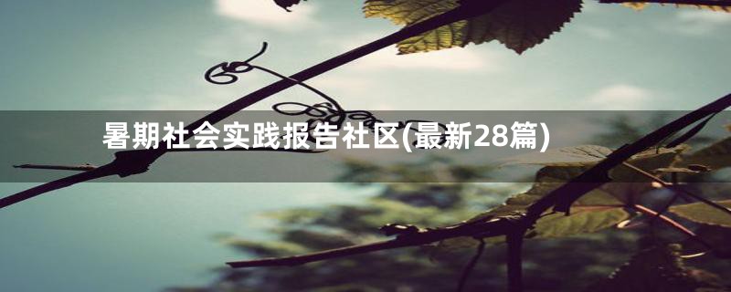 暑期社会实践报告社区(最新28篇)