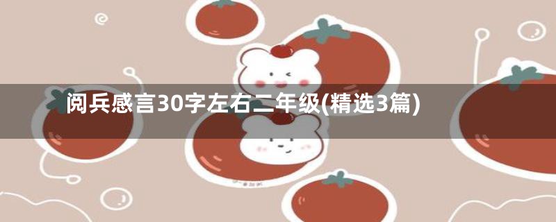 阅兵感言30字左右二年级(精选3篇)