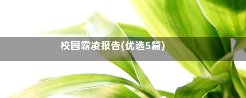 校园霸凌报告(优选5篇)