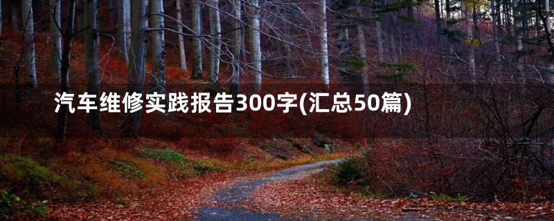 汽车维修实践报告300字(汇总50篇)