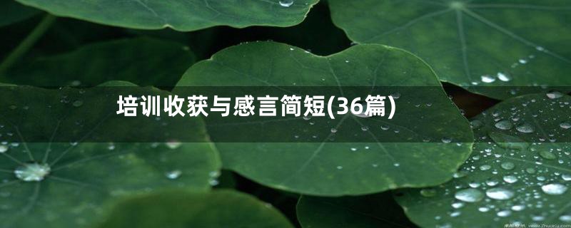 培训收获与感言简短(36篇)