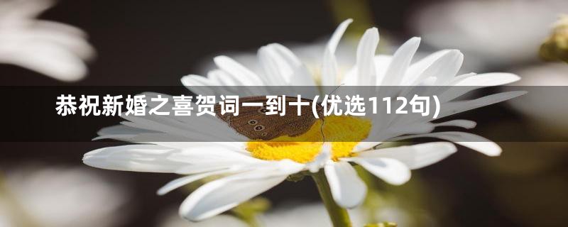 恭祝新婚之喜贺词一到十(优选112句)