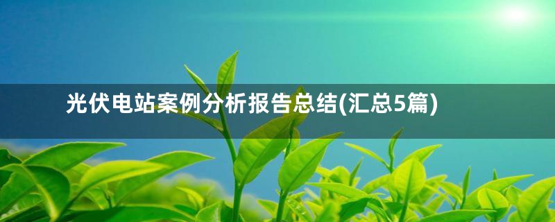 光伏电站案例分析报告总结(汇总5篇)