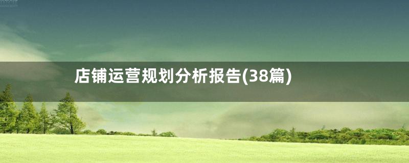 店铺运营规划分析报告(38篇)