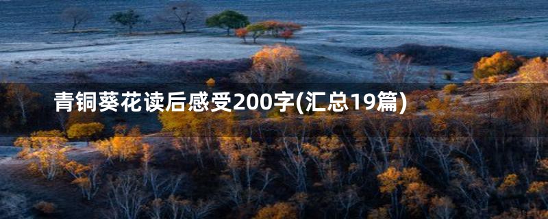 青铜葵花读后感受200字(汇总19篇)