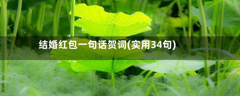 结婚红包一句话贺词(实用34句)