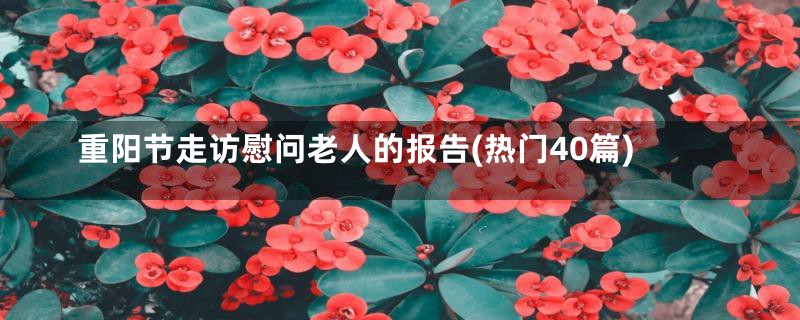 重阳节走访慰问老人的报告(热门40篇)