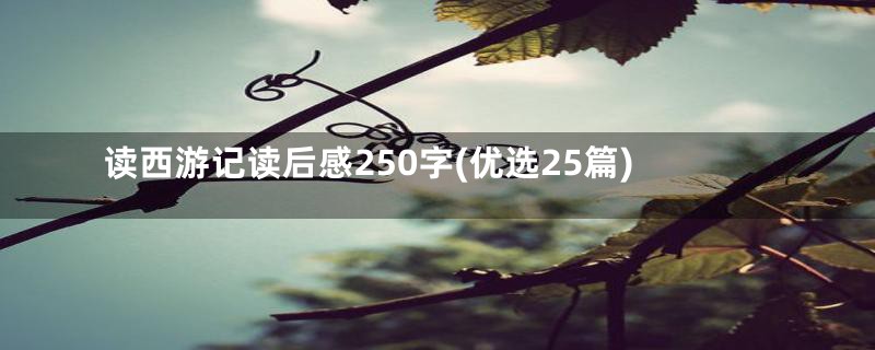 读西游记读后感250字(优选25篇)