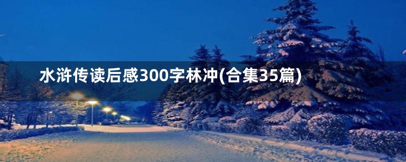 水浒传读后感300字林冲(合集35篇)