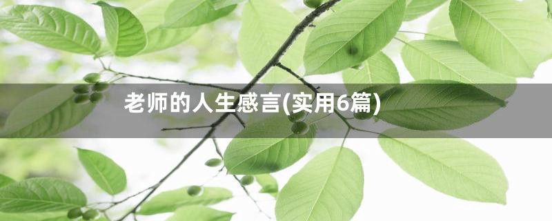 老师的人生感言(实用6篇)