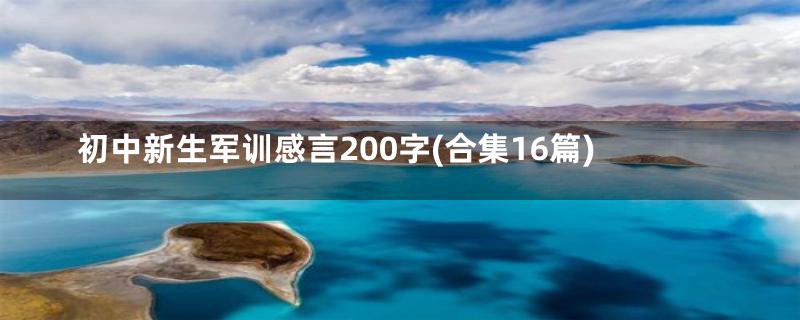 初中新生军训感言200字(合集16篇)