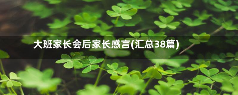 大班家长会后家长感言(汇总38篇)