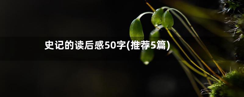 史记的读后感50字(推荐5篇)