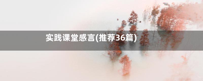 实践课堂感言(推荐36篇)