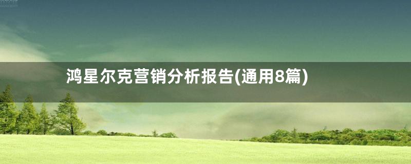 鸿星尔克营销分析报告(通用8篇)