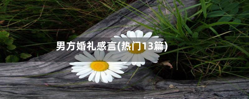 男方婚礼感言(热门13篇)