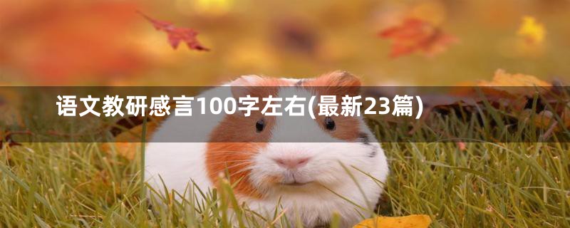 语文教研感言100字左右(最新23篇)