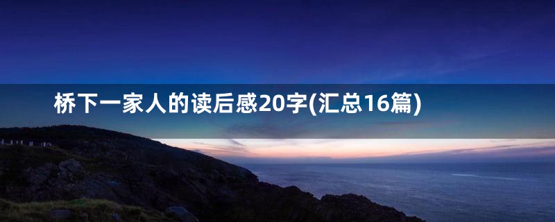 桥下一家人的读后感20字(汇总16篇)