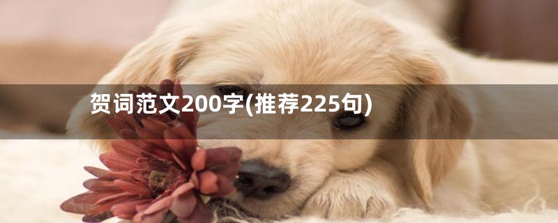 贺词范文200字(推荐225句)