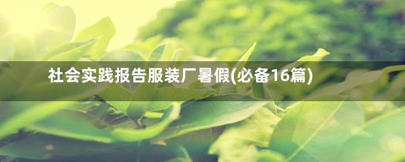 社会实践报告服装厂暑假(必备16篇)