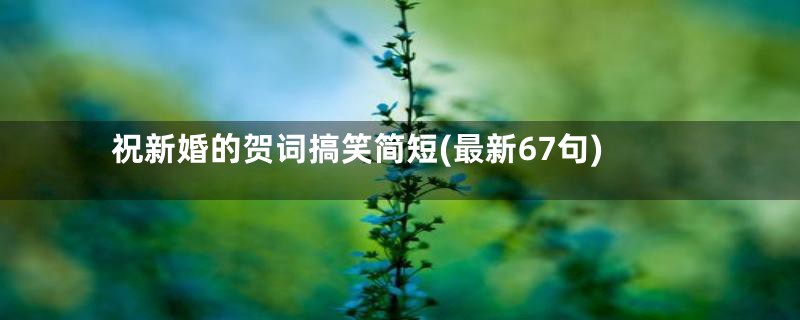 祝新婚的贺词搞笑简短(最新67句)