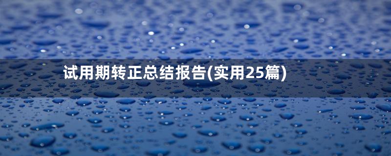 试用期转正总结报告(实用25篇)