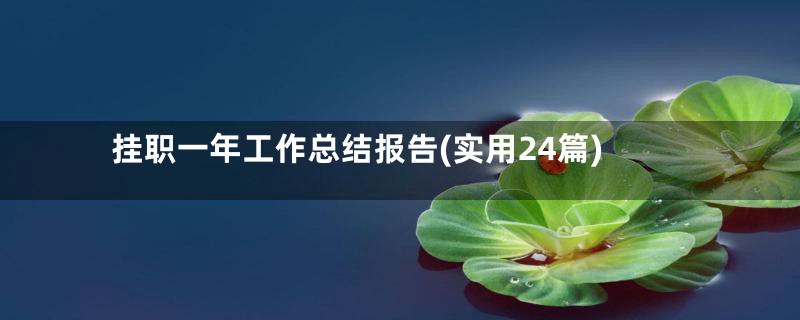 挂职一年工作总结报告(实用24篇)