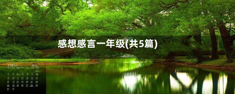 感想感言一年级(共5篇)