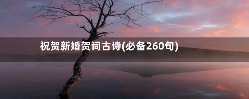 祝贺新婚贺词古诗(必备260句)