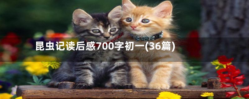 昆虫记读后感700字初一(36篇)