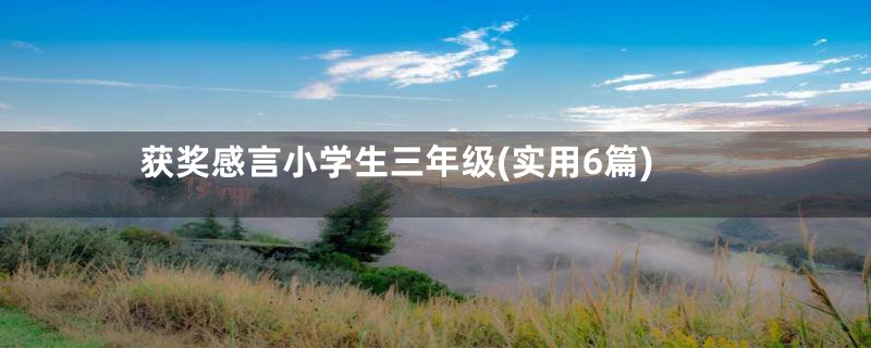 获奖感言小学生三年级(实用6篇)