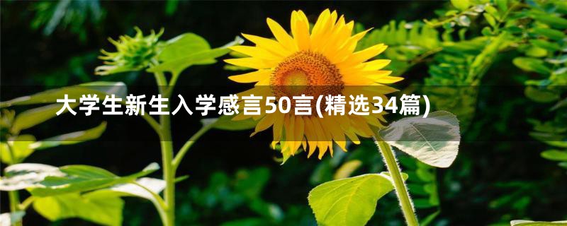 大学生新生入学感言50言(精选34篇)