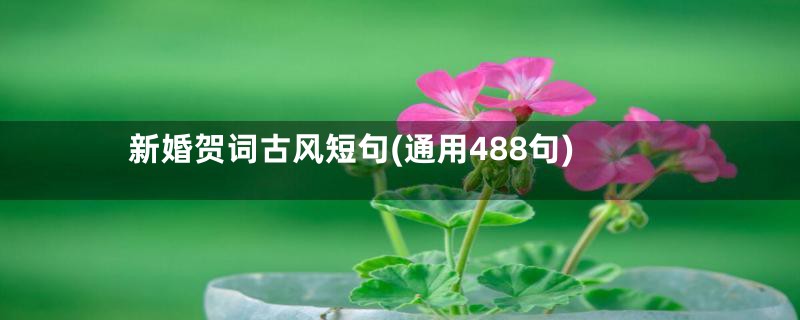 新婚贺词古风短句(通用488句)