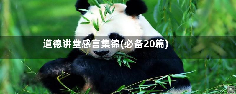 道德讲堂感言集锦(必备20篇)