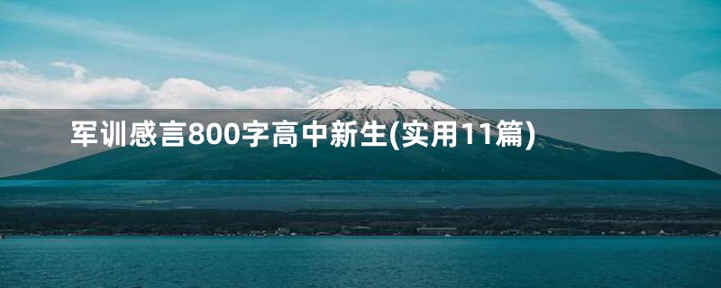 军训感言800字高中新生(实用11篇)