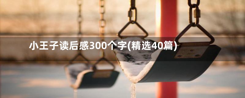 小王子读后感300个字(精选40篇)