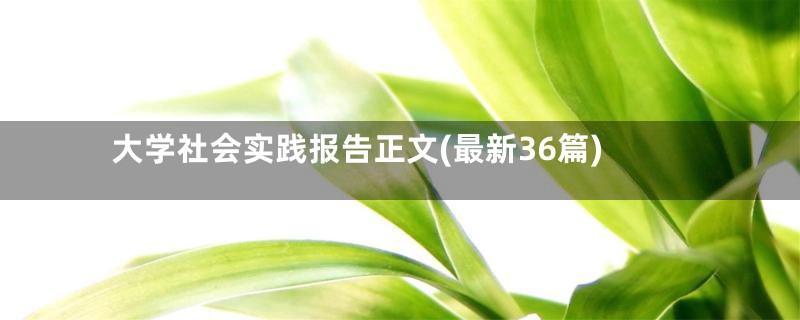 大学社会实践报告正文(最新36篇)