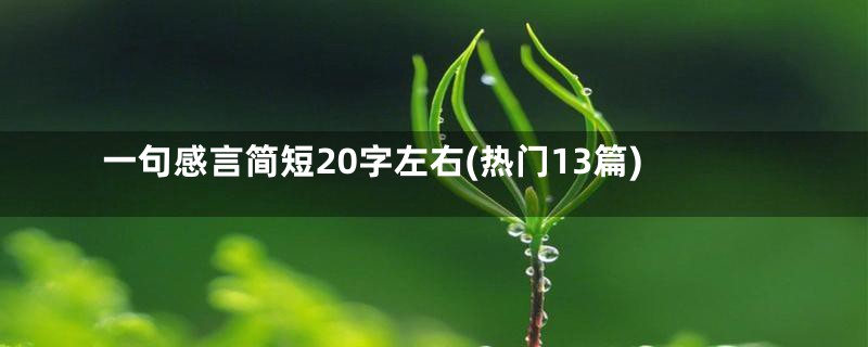 一句感言简短20字左右(热门13篇)