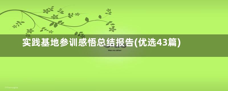 实践基地参训感悟总结报告(优选43篇)